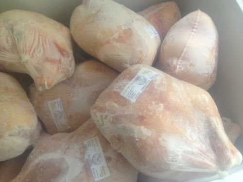 frozen fish