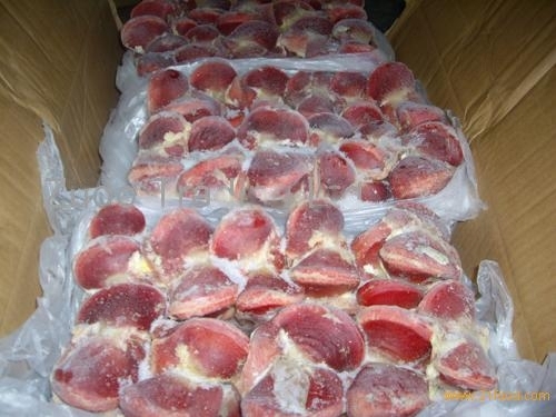 gizzard